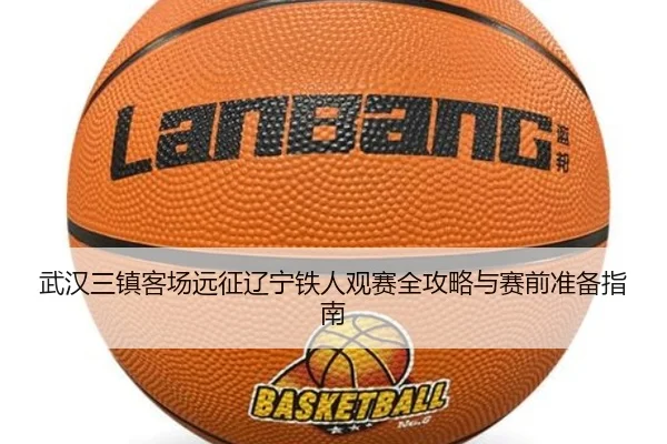 武汉三镇客场远征辽宁铁人观赛全攻略与赛前准备指南